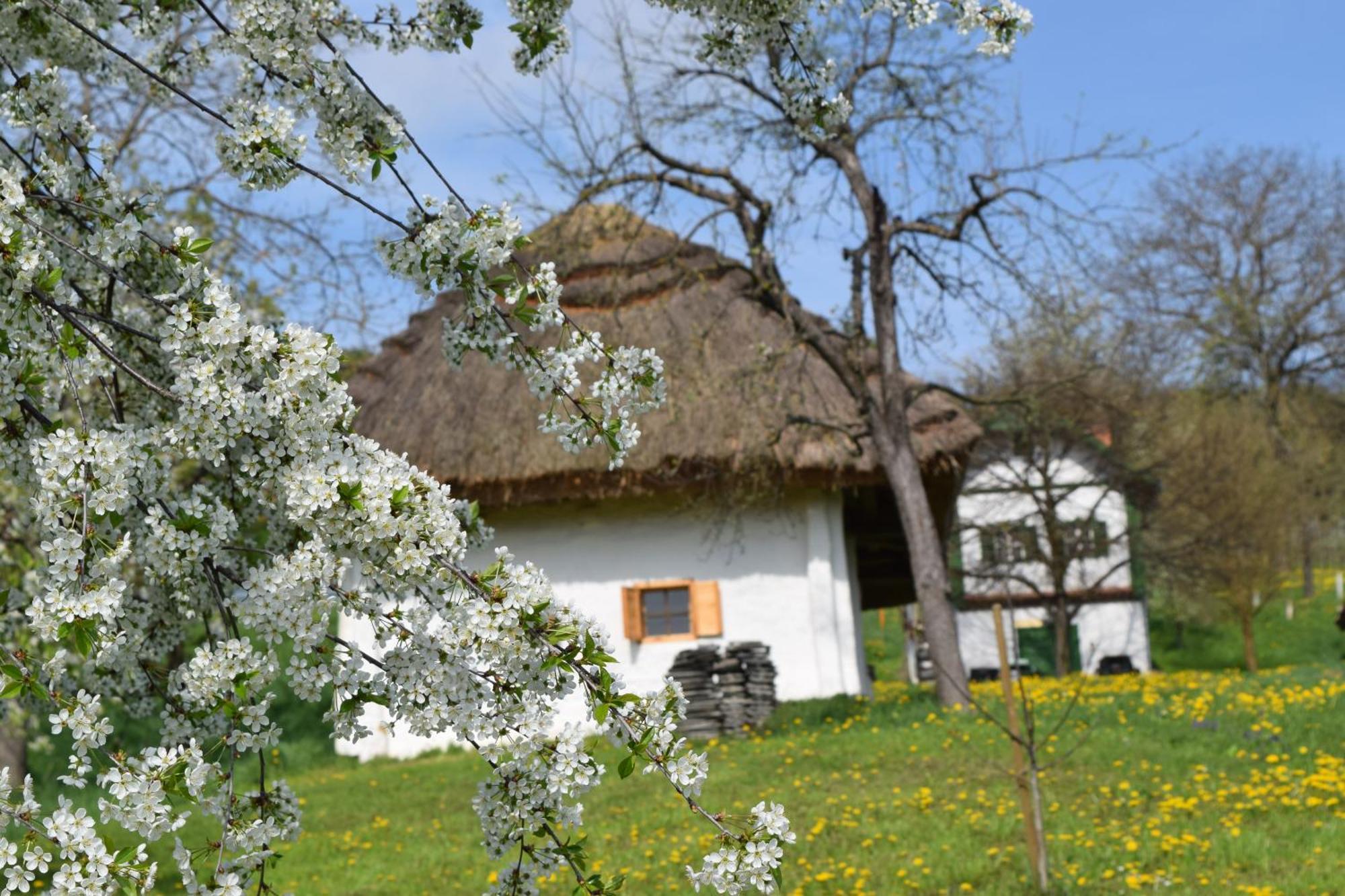 Genussgasthof & Hotel Beim Krutzler Heiligenbrunn Extérieur photo